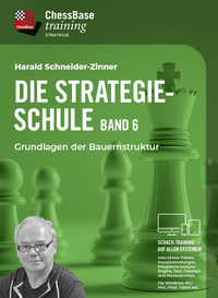 Die Strategieschule - Band 6