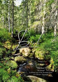 The Brook A simple book on stream fishing